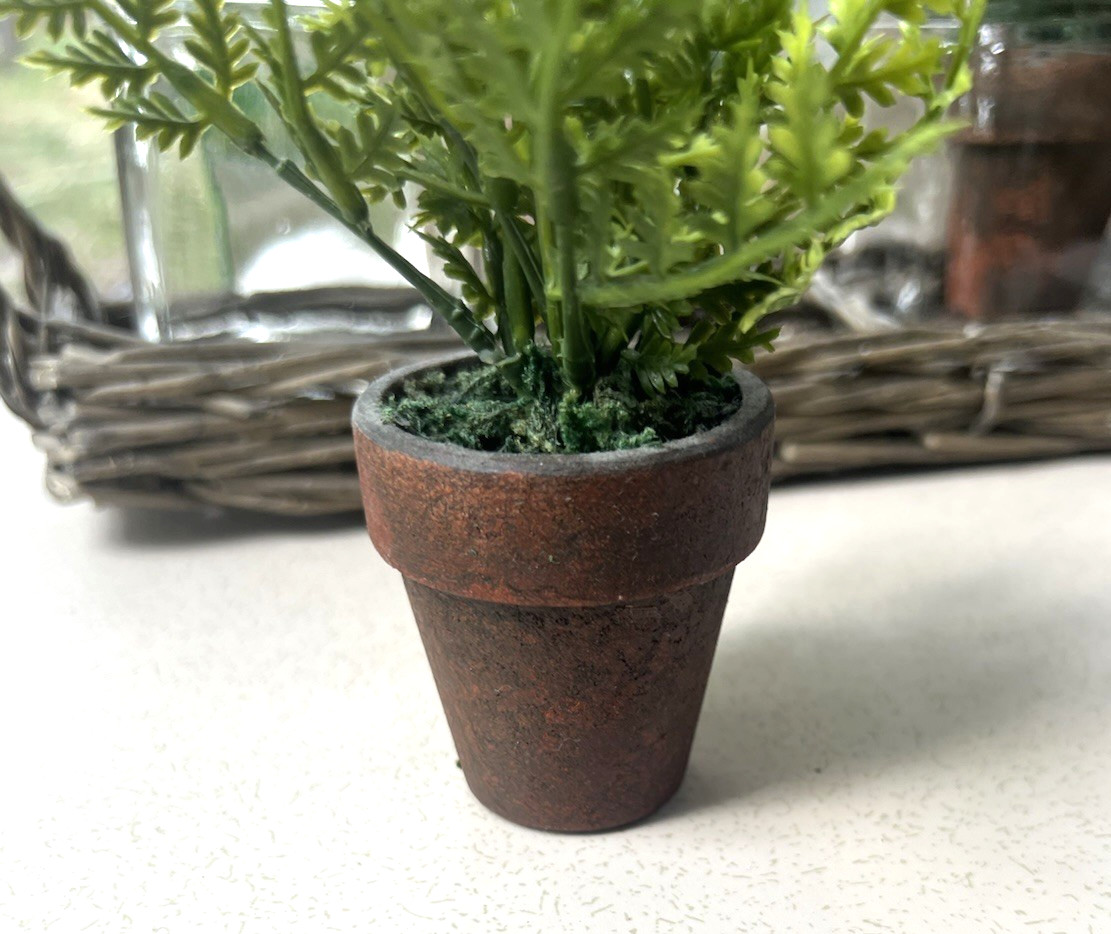 Tabletop Garden Mini Faux Fern Clay Pots With Rattan Wicker Tray & 5 Glass Vases