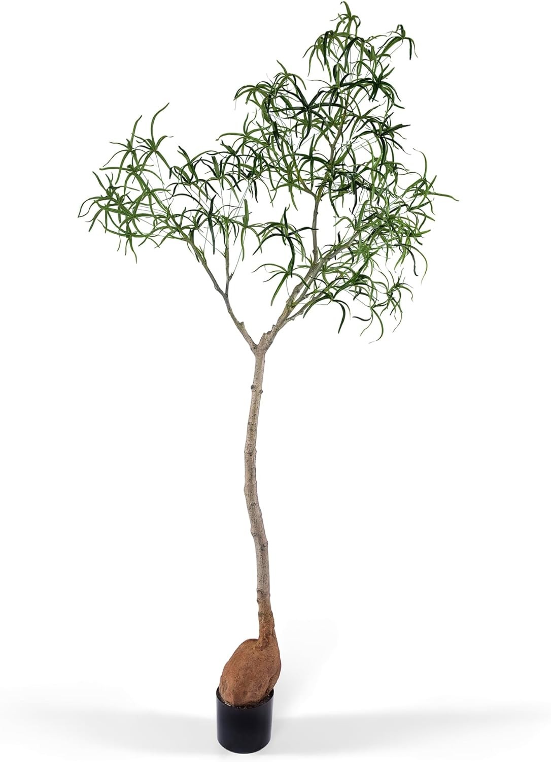 6.5FT Queensland Bottle Tree Sculptural Faux Tree for Japandi & Wabi-Sabi