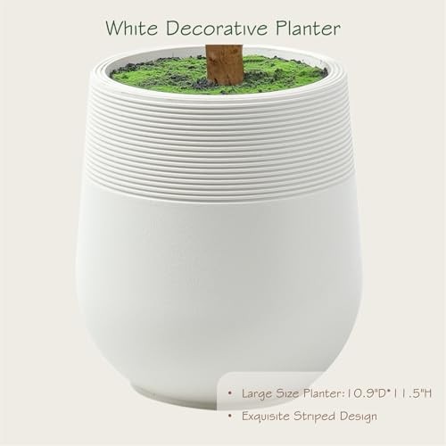Super Fuller Faux Olive Tree with White & Multiple Real 7ft Decorative Planter