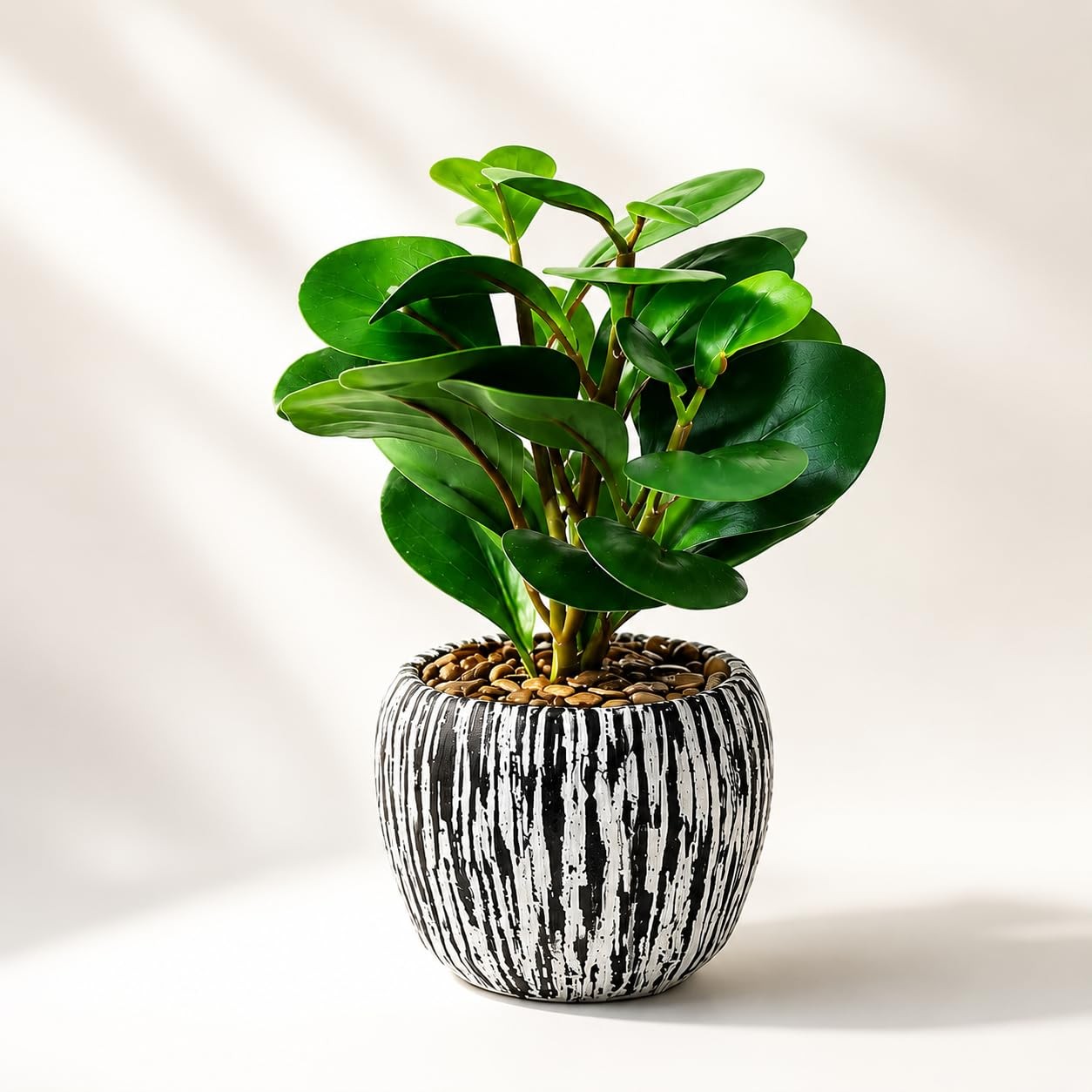 Realistic Small Fake Indoor Plant Artificial Ficus Black Cement Planter 9 Inch