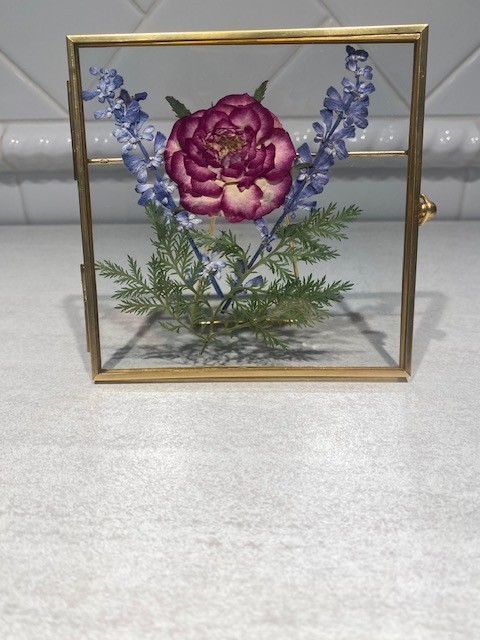 Pressed Dried Real Flowers in Floating Glass Frame