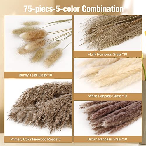 75Pcs Dried Pampas Grass Decor Set Boho Floral Arrangement White Brown 17.5 Inch