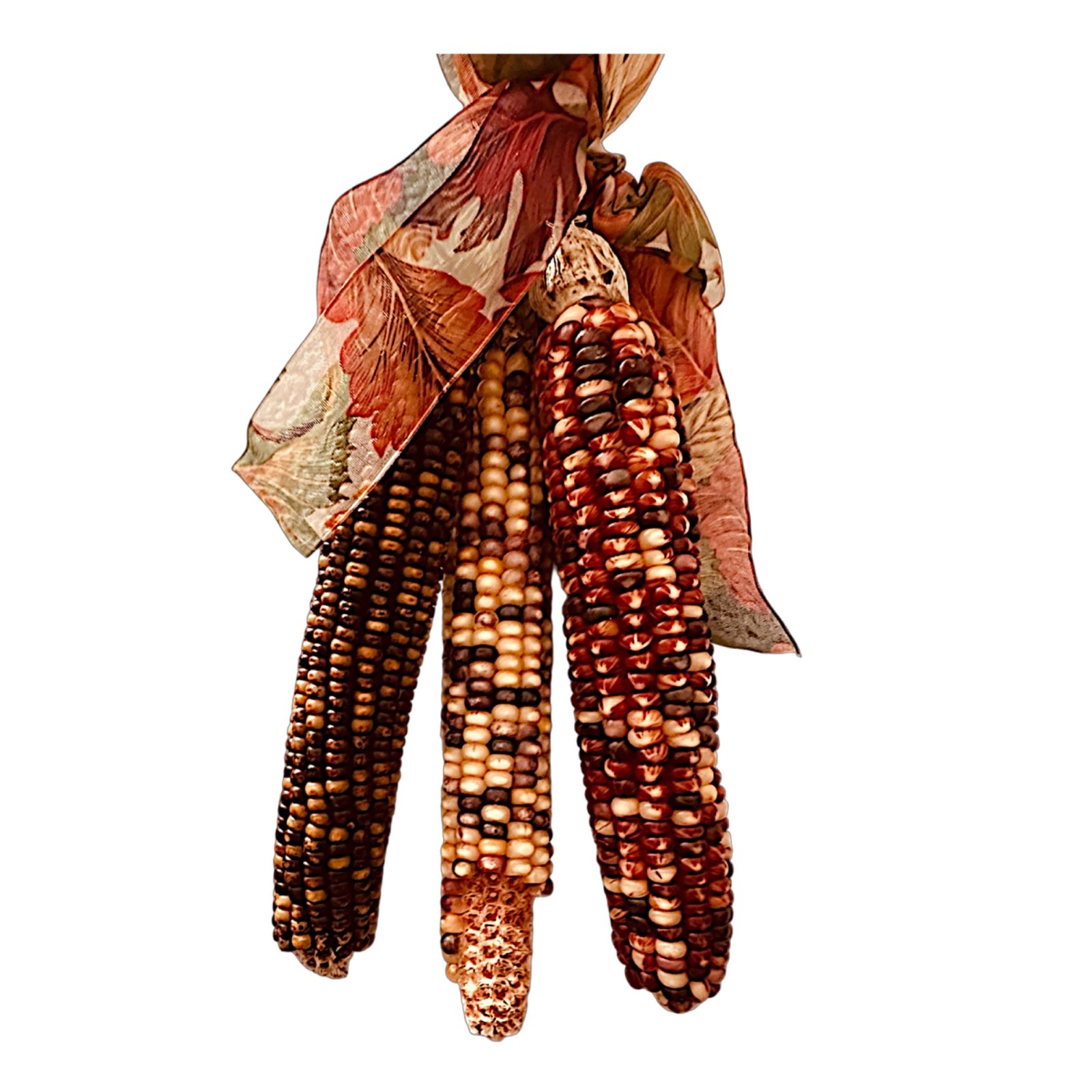 Indian Corn 8” (bunch of 3) Thanksgiving Fall Decor