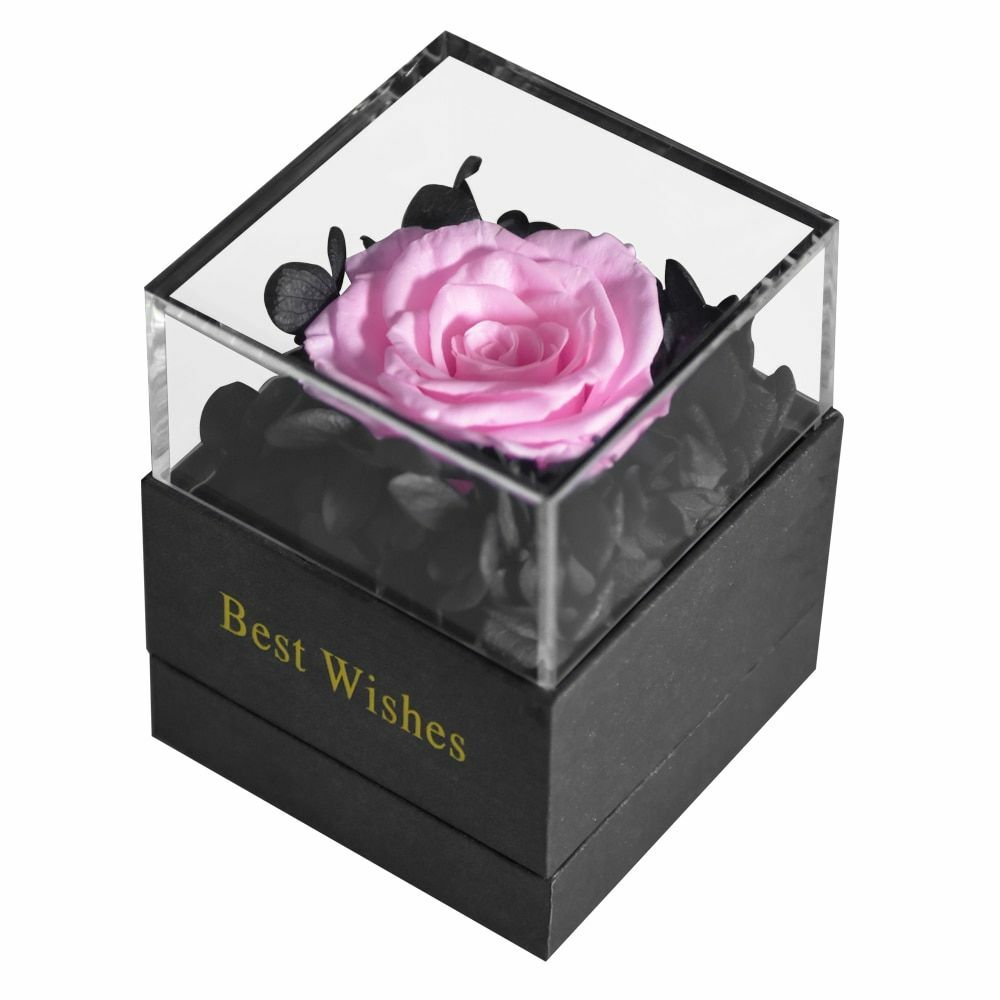 Preserved Fresh Rose Flower Jewelry Box Birthday Wedding Valentine Gifts Womens