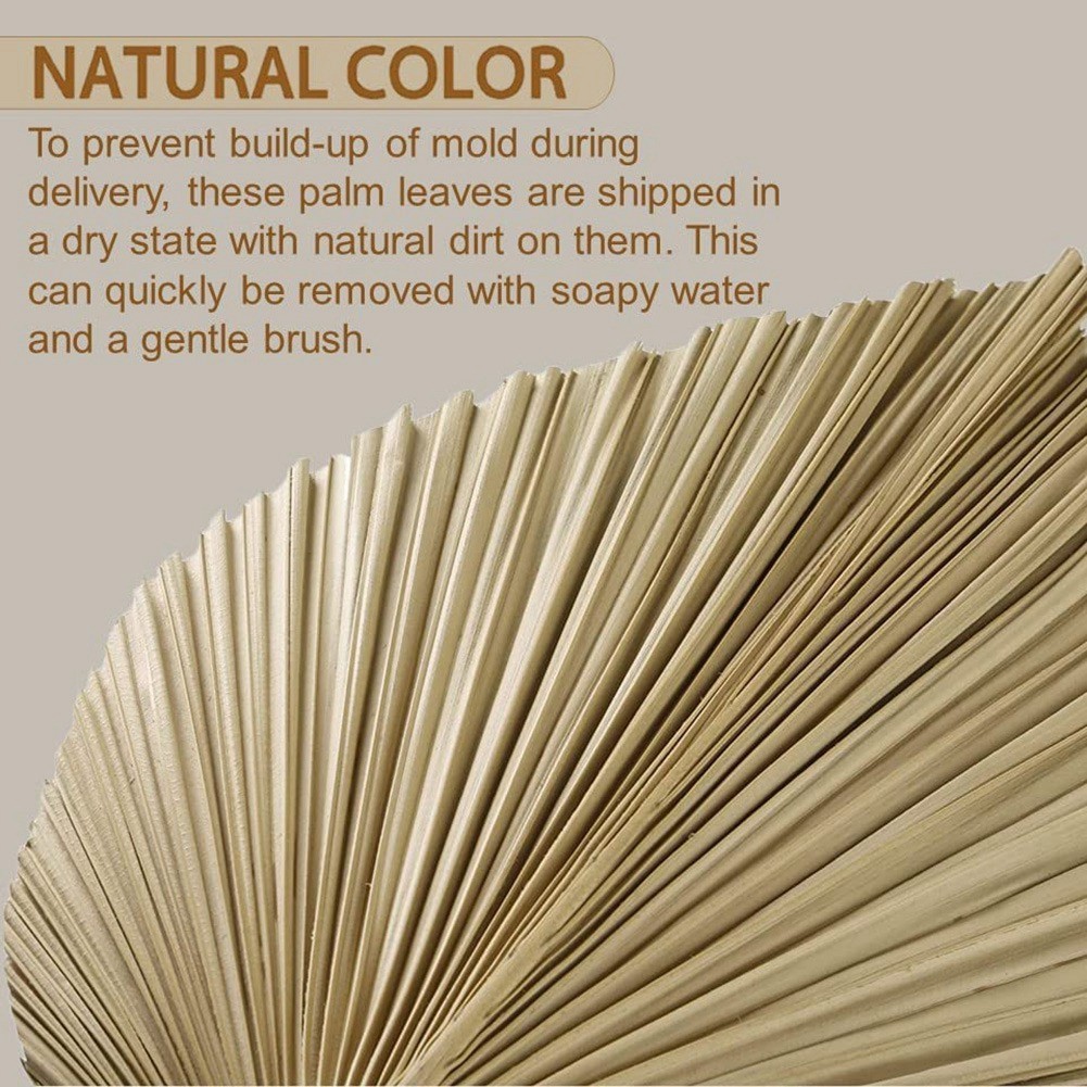 4 Pieces Natural Dried Palm Leaves are Perfect for Palm Leaf Decor, Boho2149