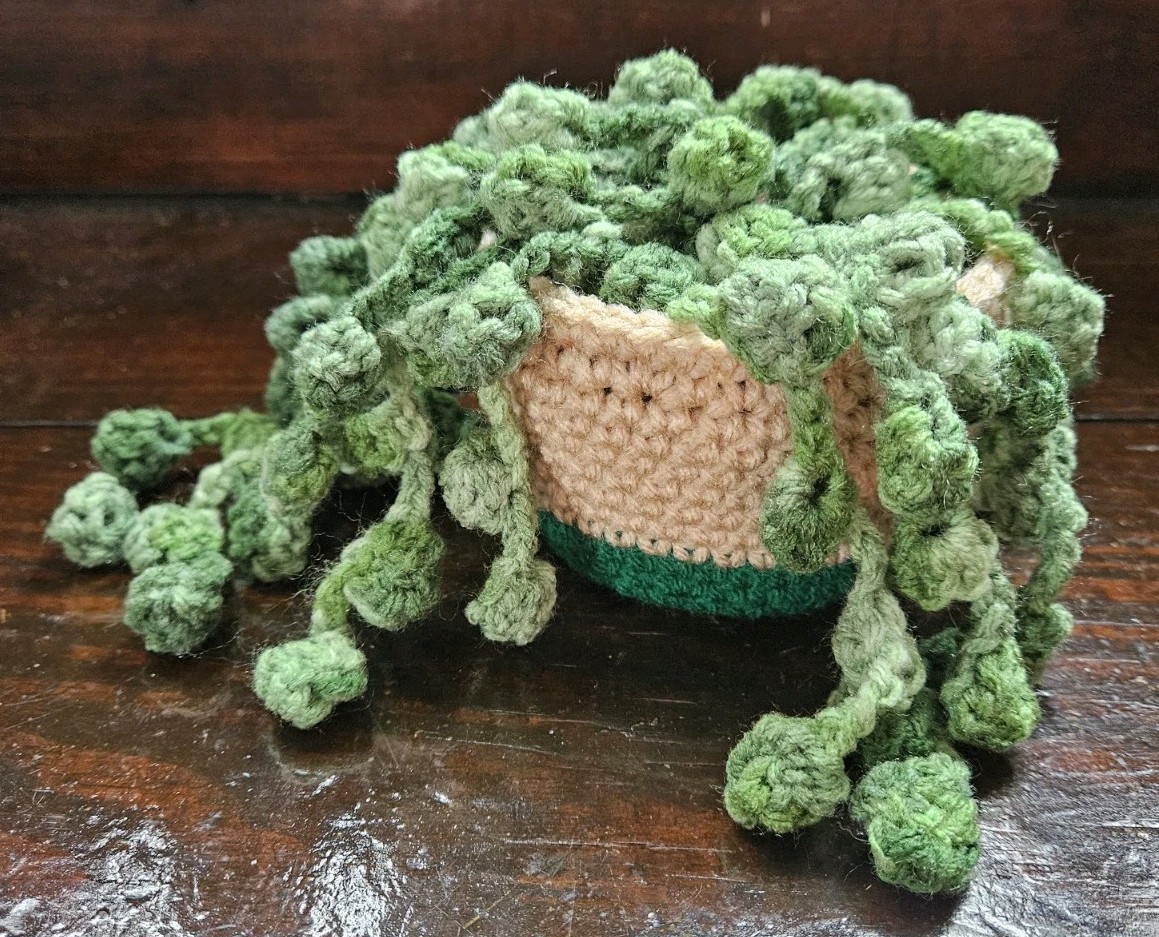 Crochet Home Office Plant Plushie String Of Pearls Succulent Handmade Art Gift