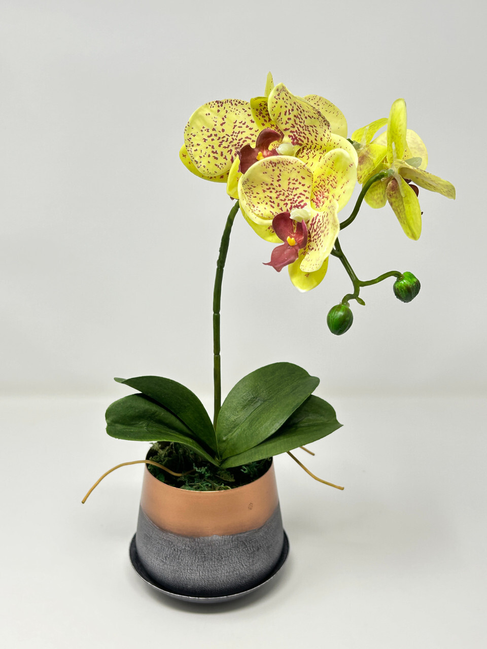 14″ Potted Yellow PHALAENOPSIS ORCHID faux Silk flower plant in copper metal pot