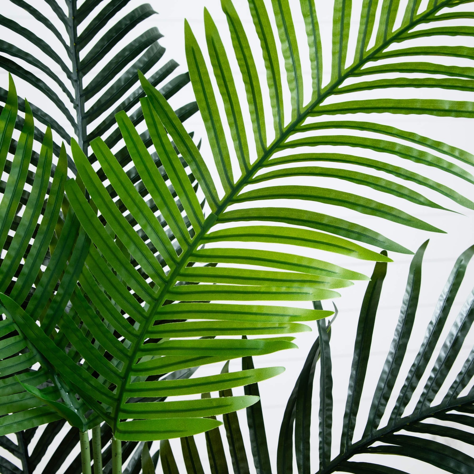 66″ Paradise Artificial Palm Tree in Sand Colored Planter in Green/Sand
