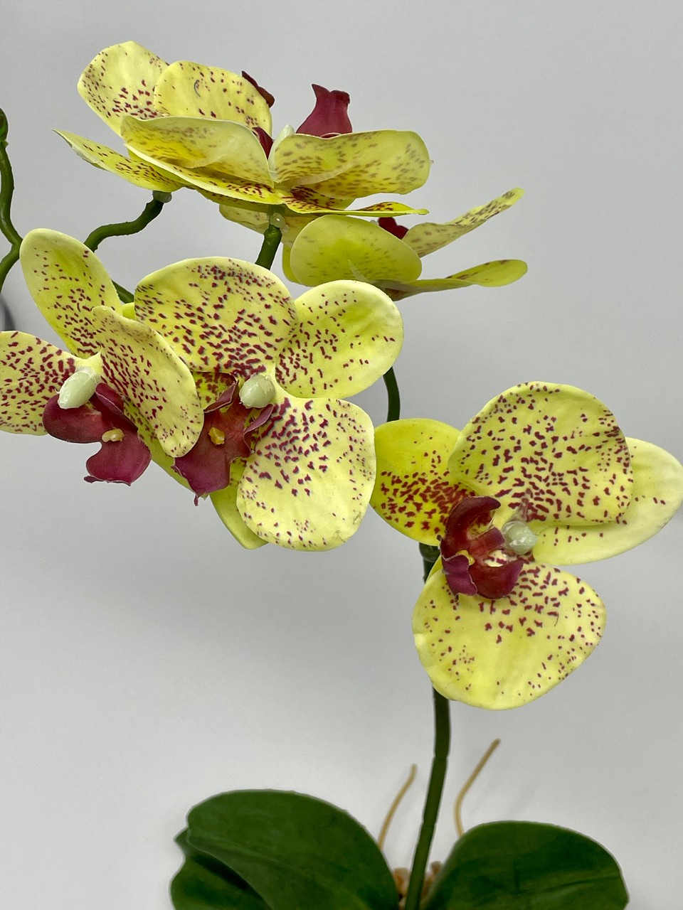 Home Decor 10-14″ Pale Yellow PHALAENOPSIS ORCHID Soft Silk plant, Stone base