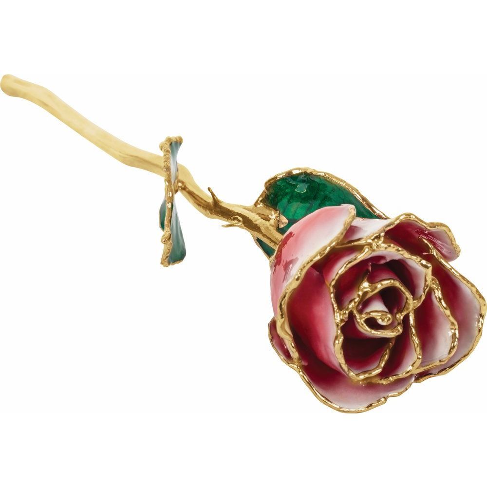 24k Gold Dipped White & Red Lacquer Real Rose Valentine’s Day Holiday Gift