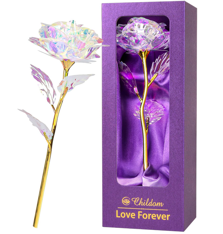 Gifts for Women Preserved Real Rose with I Love You Necklace 100 Languages