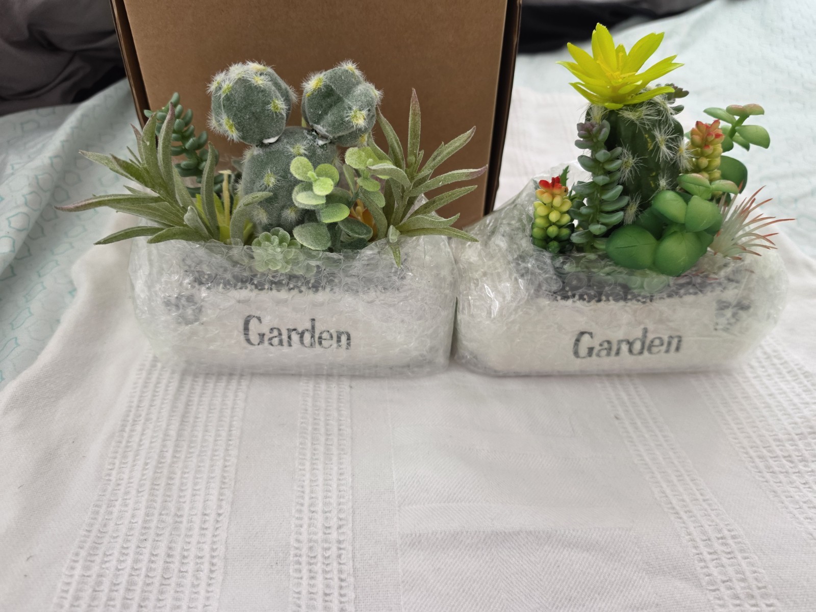 Arnore Florals Artificial Succulent & Cactus Garden Planters Set of 2 4in