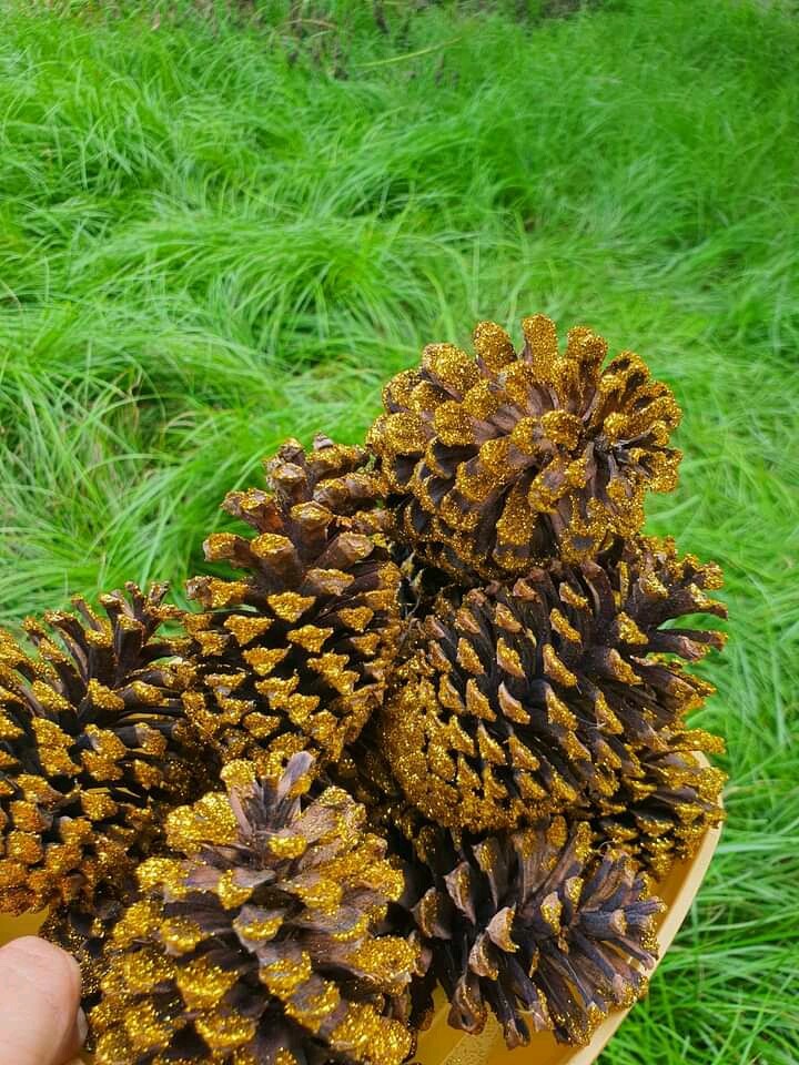 Pine Cones Decorative Natural For Florists Crafts 3PCS Quality Home Decoration