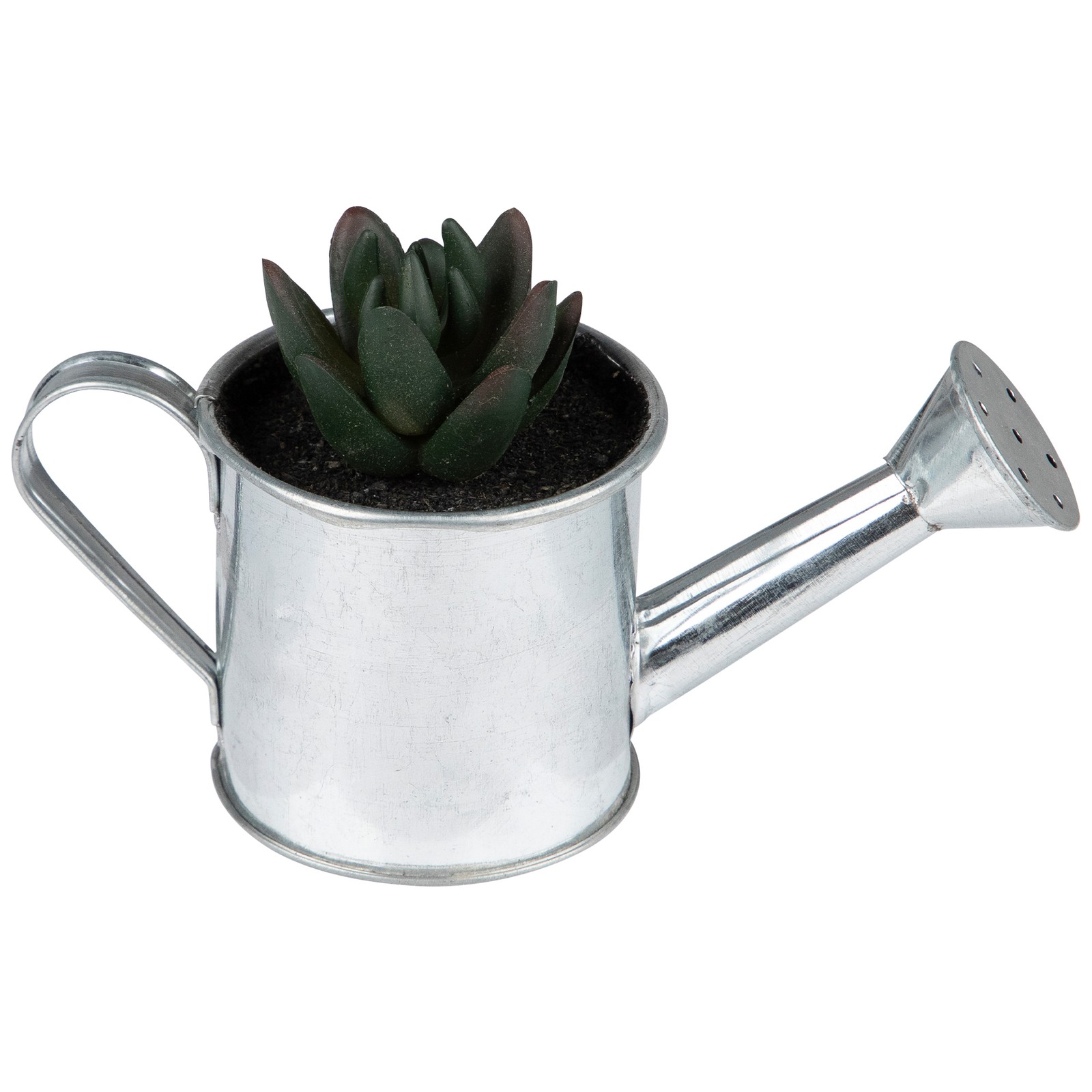 Northlight 4� Tropical Green Mini Artificial Pachyveria Succulent Tin Water Can