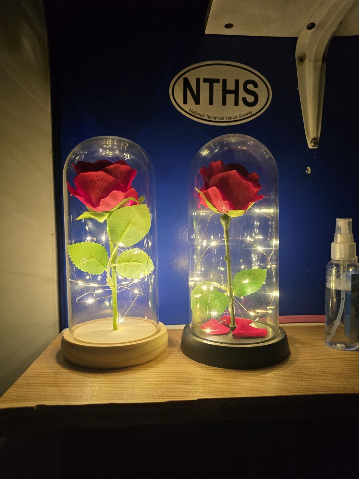 Eternal Red Rose Flower in Glass Dome with LED Lights Floral Decor