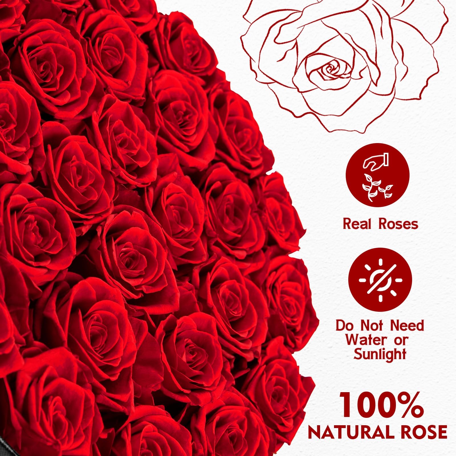 27 PCS Red Forever Roses In A Box Real Preserved Flowers Present For Women
