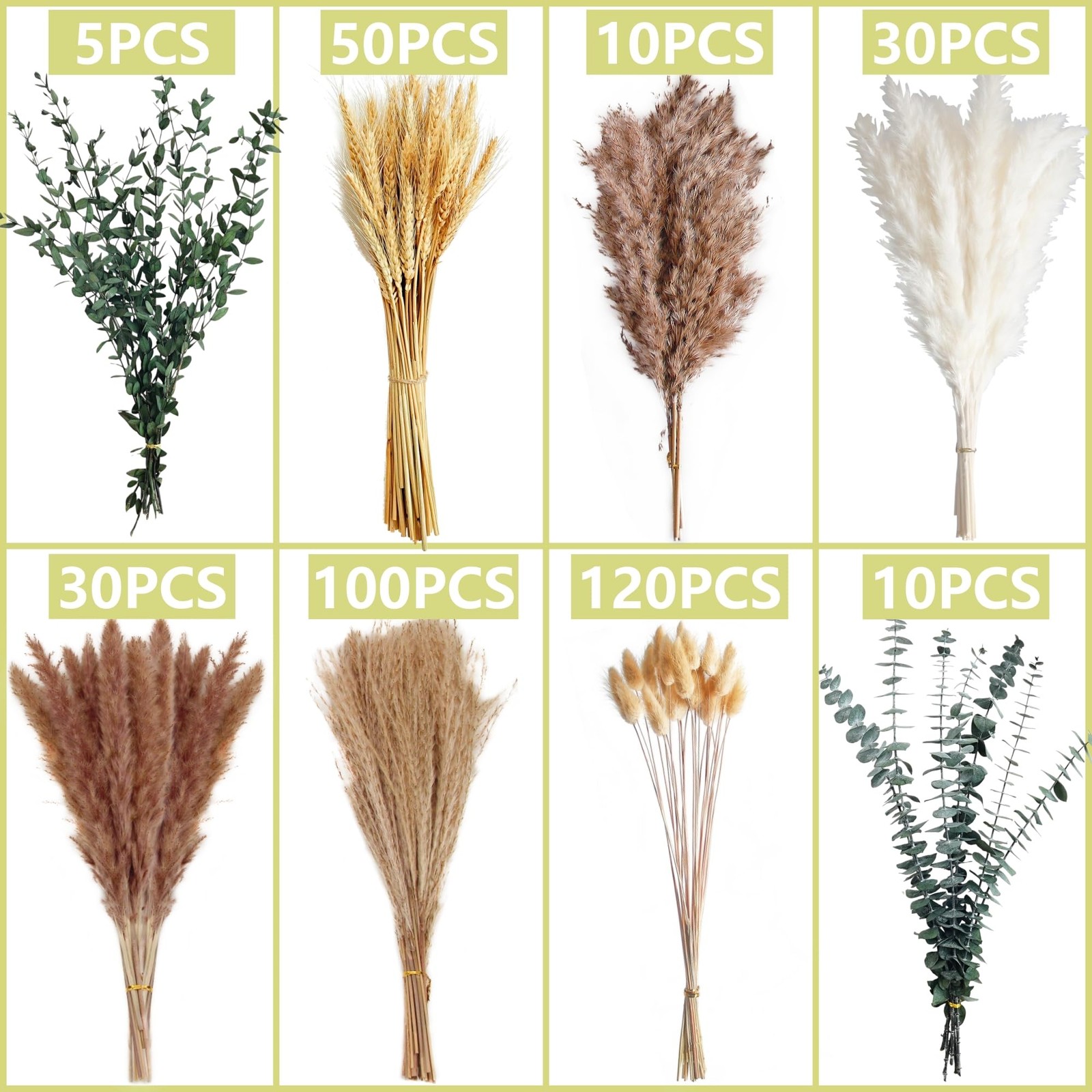 355PCS Dried Pampas Grass Bouquet Set – Brown Pampas Grass & White Pampas Gra…