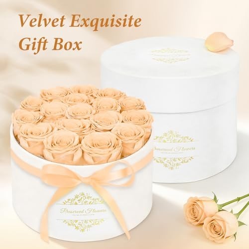 17 Preserved Forever Flowers in Luxury Suede Box – Romantic Gifts for Her, Anniv