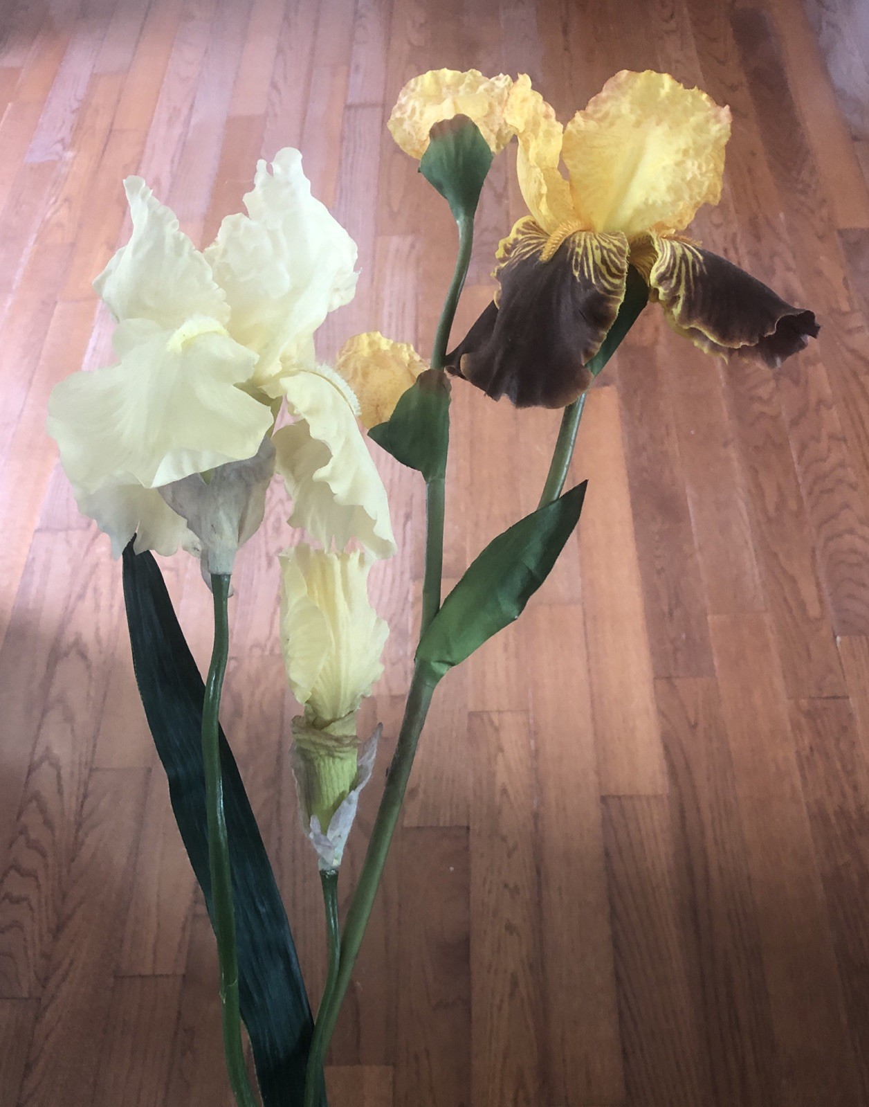 5 Stalks Yellow Iris Flowers Bouquet Long Stems Silk Artificial Crafts Weddings