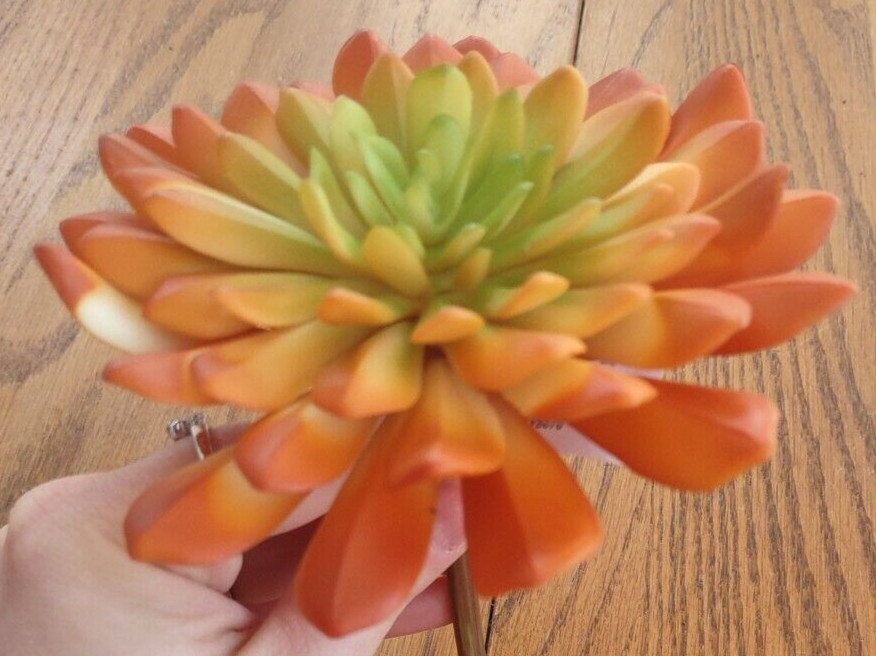 Pier 1 Flower Succulent with Vibrant Orange/Yellow/Green Colors-NEW-SHIP 24 HRS