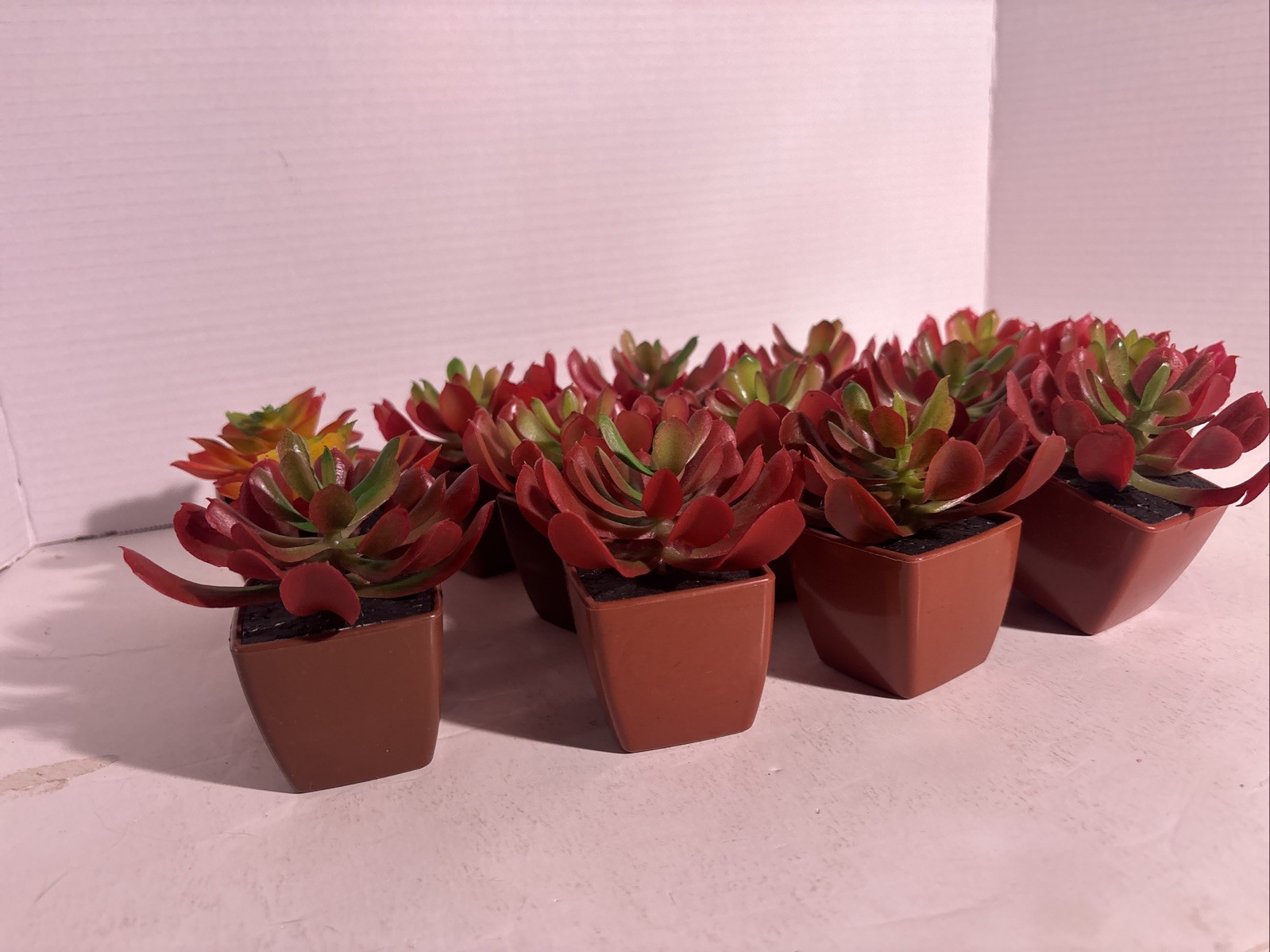 Succulent plants Artificial Variety Of 14 Plants