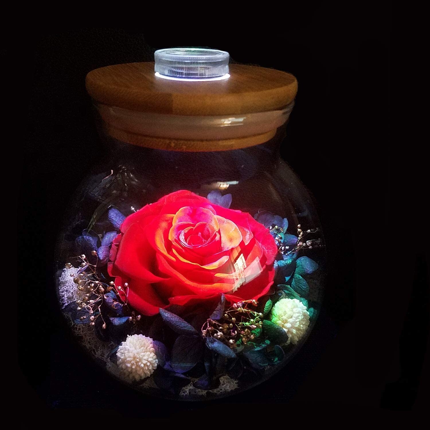 Preserved Real Rose Eternal Rose Flowers with Led Mood Light Forever Romantic