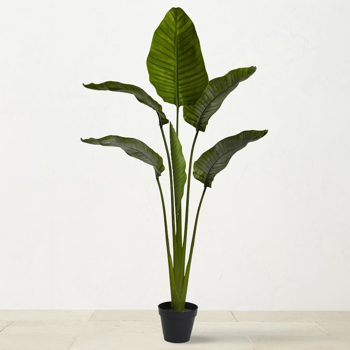 UV Resistant Faux Travelers Palm Tree, 60″-Williams Sonoma|35701