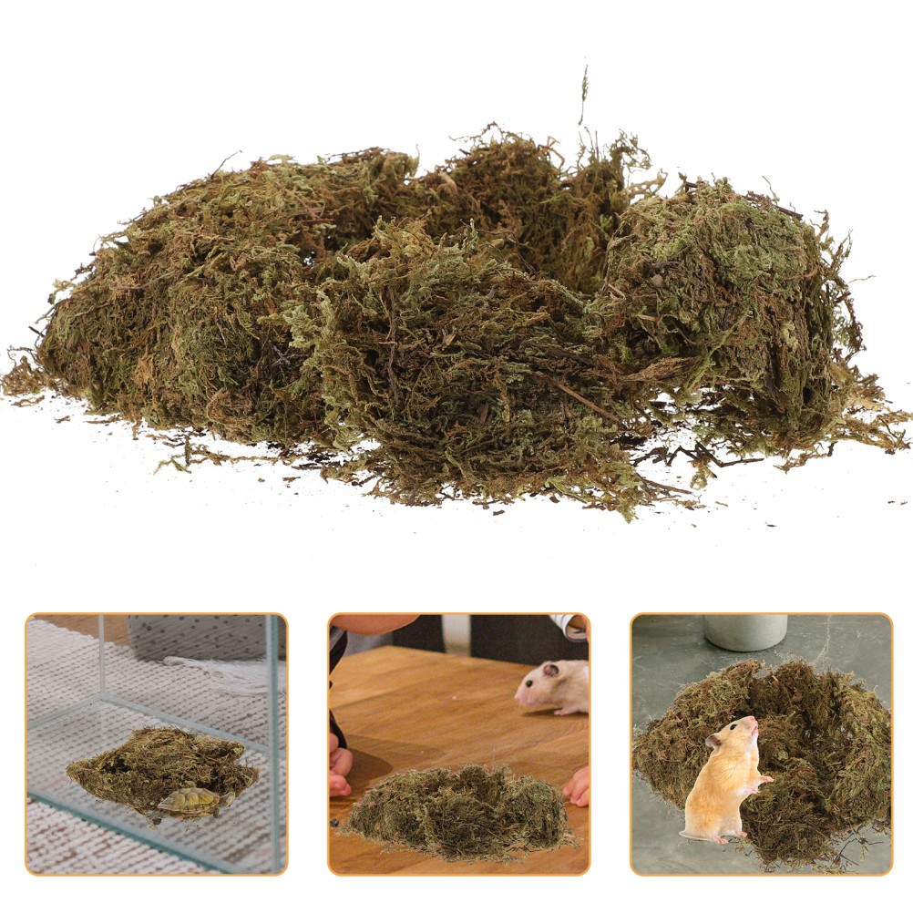 2 Packs Decorative Dried Moss for DIY Durable Green Moss for Gardening Bonsai