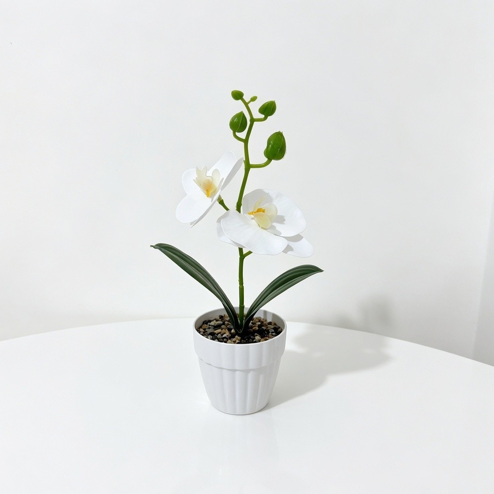 White Green Black Purple Orange 3D Printed Orchid Artificial Plant Pot