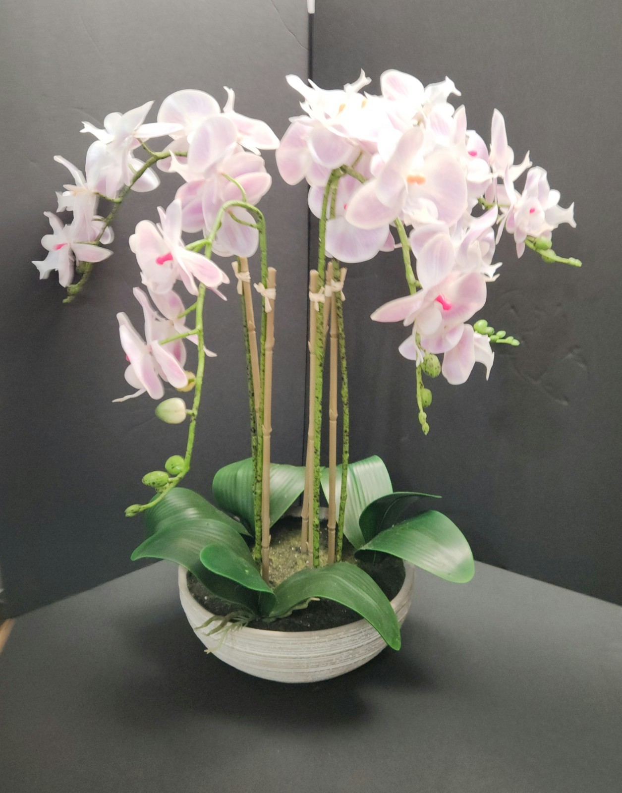 Allen + Roth Silk Artificial Orchid – New