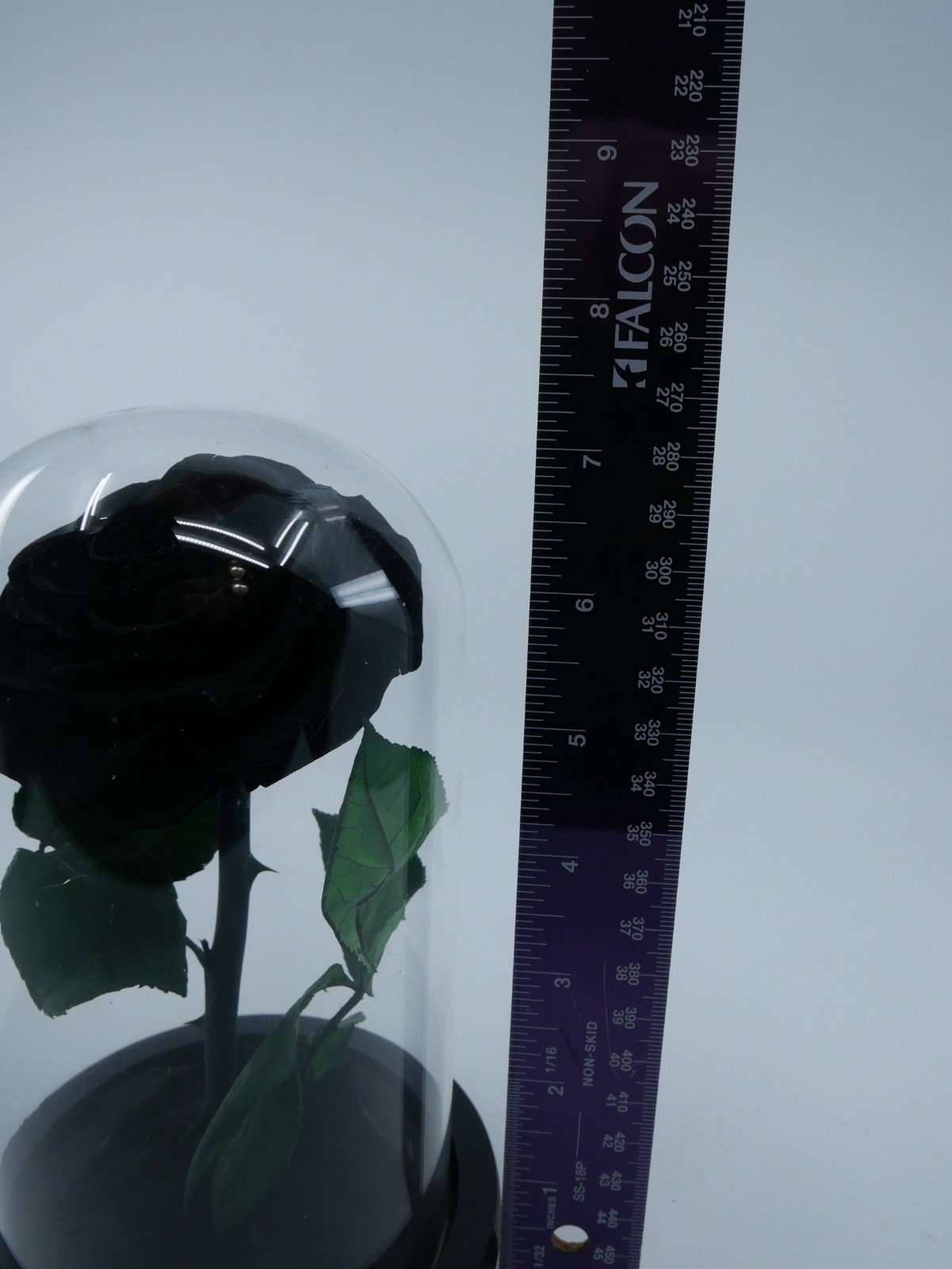 Perfectione Roses Black Rose Preserved Flowers