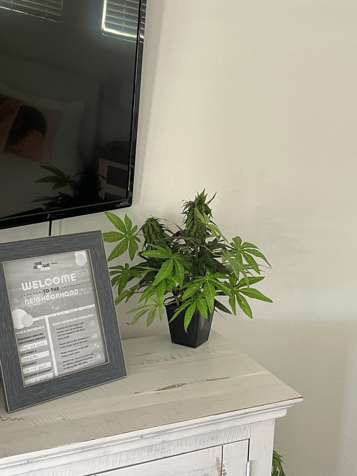 Realistic Faux Hemp Plant Decorative Artificial Greenery Home Office Display