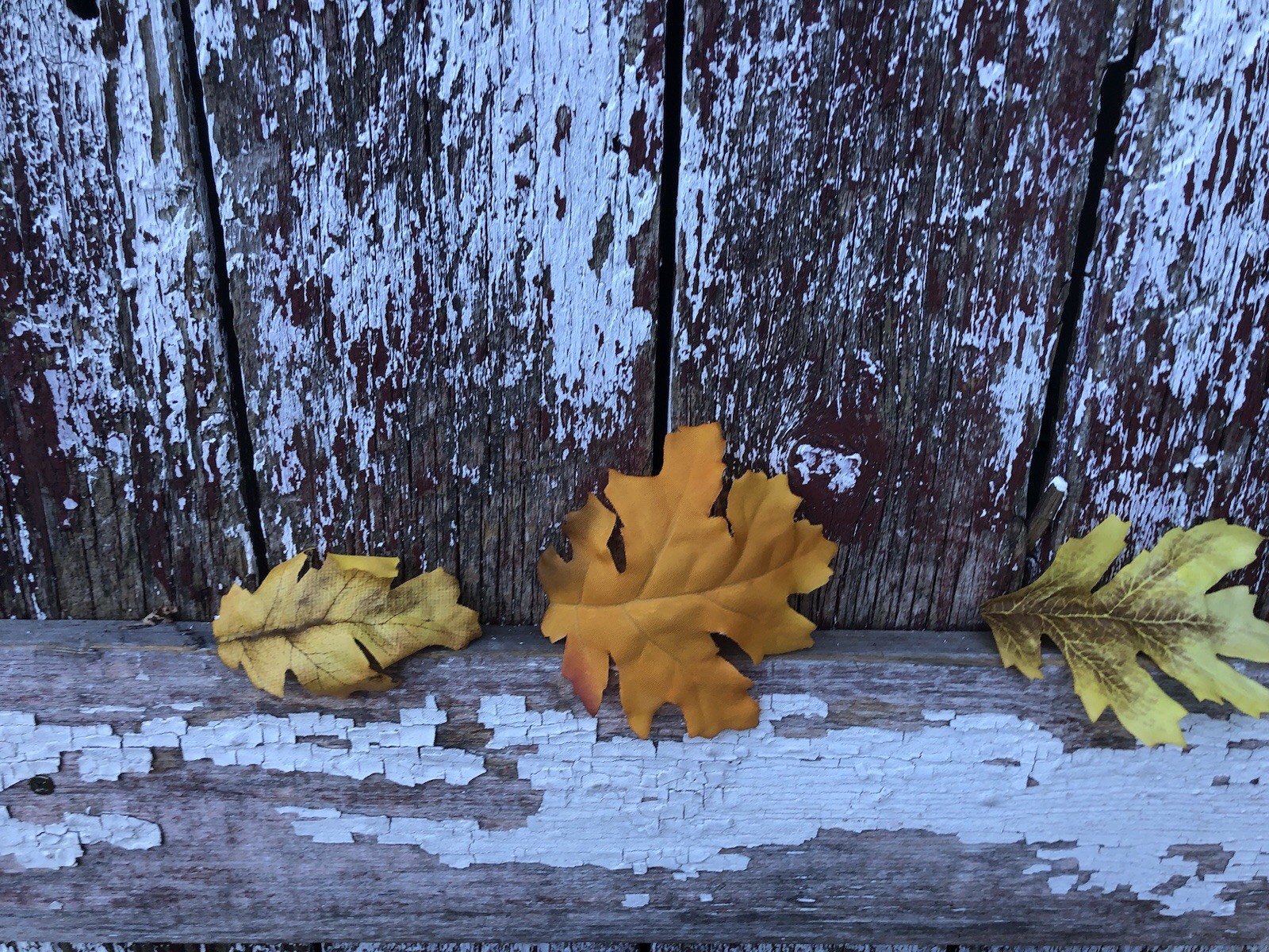 36 Sunny Ridge Oak Fall Leaves Autumn Artificial LOOSE in A BAG Wedding Decor