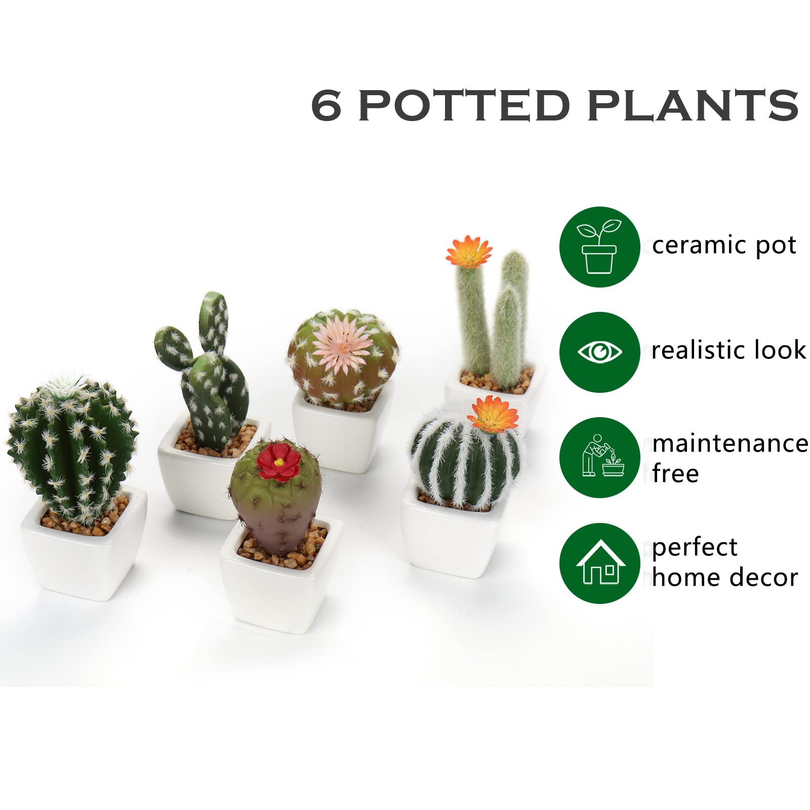 Mini Artificial Cactus Plants in Ceramic Pots 6 Pcs Potted Faux Succulents in…