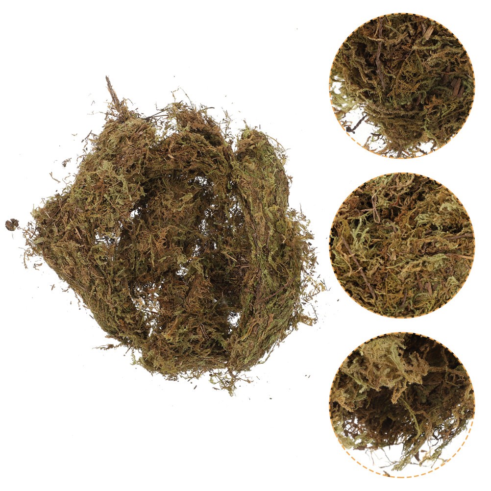 2 Packs Decorative Dried Moss for DIY Durable Green Moss for Gardening Bonsai