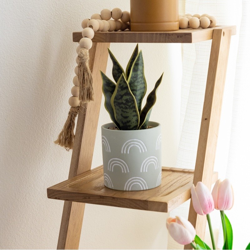 Tabletop Artificial Snake Plant in Rainbow Print Terracotta Pot Indoor Decor New