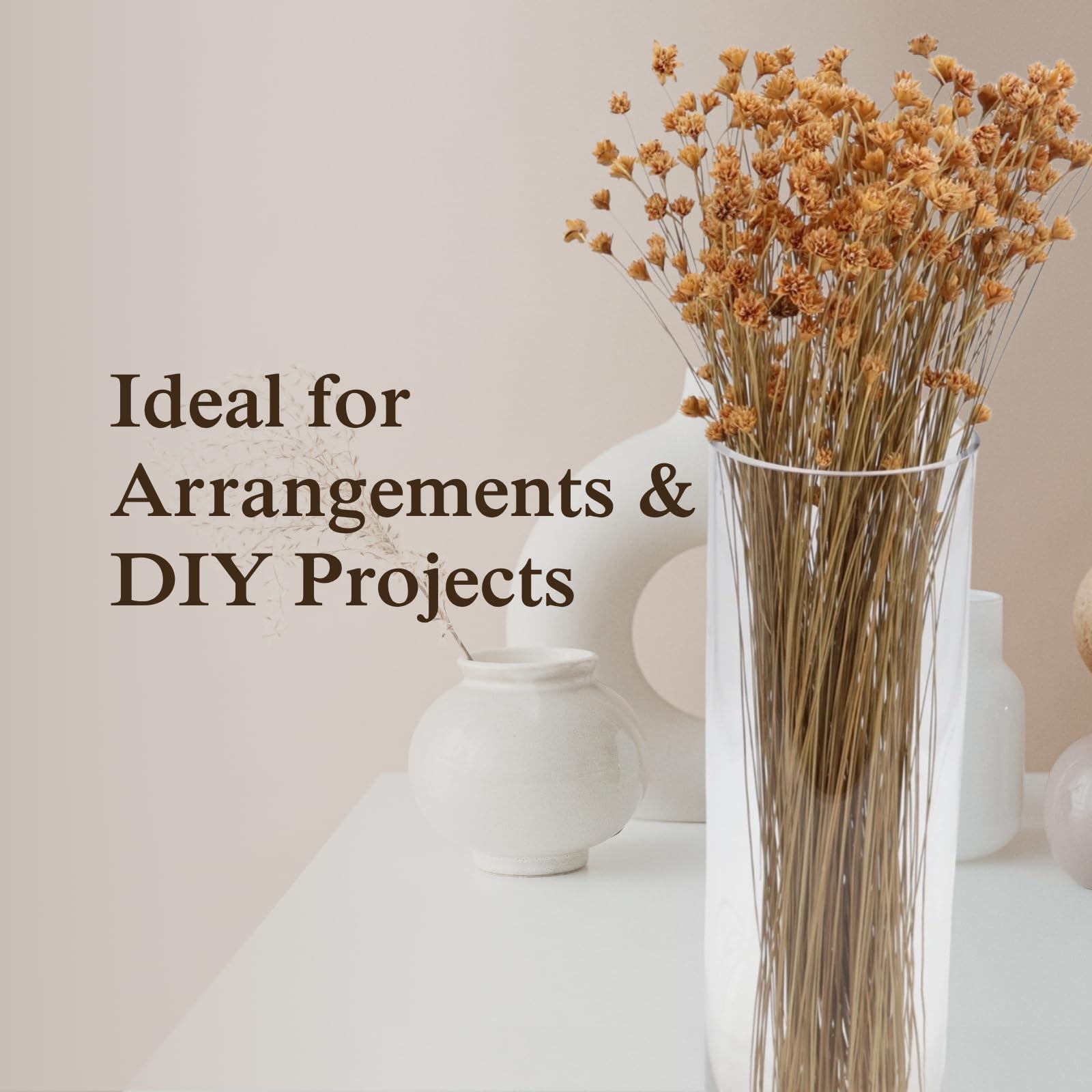 Hill Flowers (Natural) – Preserved Dried Flowers for Floral Arrangements, Wed…