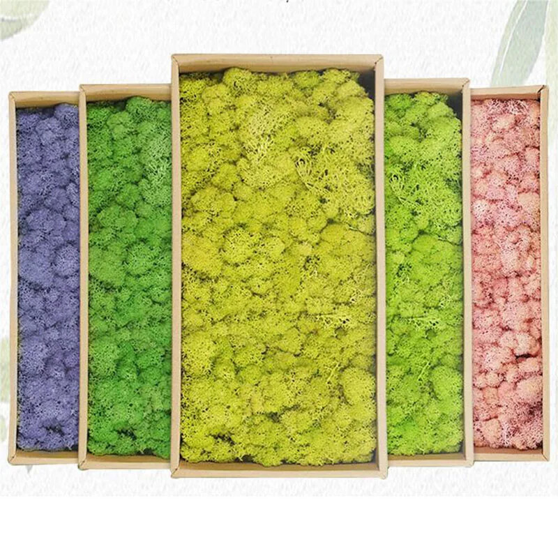 20g Artificial Green Moss Plants Fake Grass Eternal Life Grass Mini Landscape