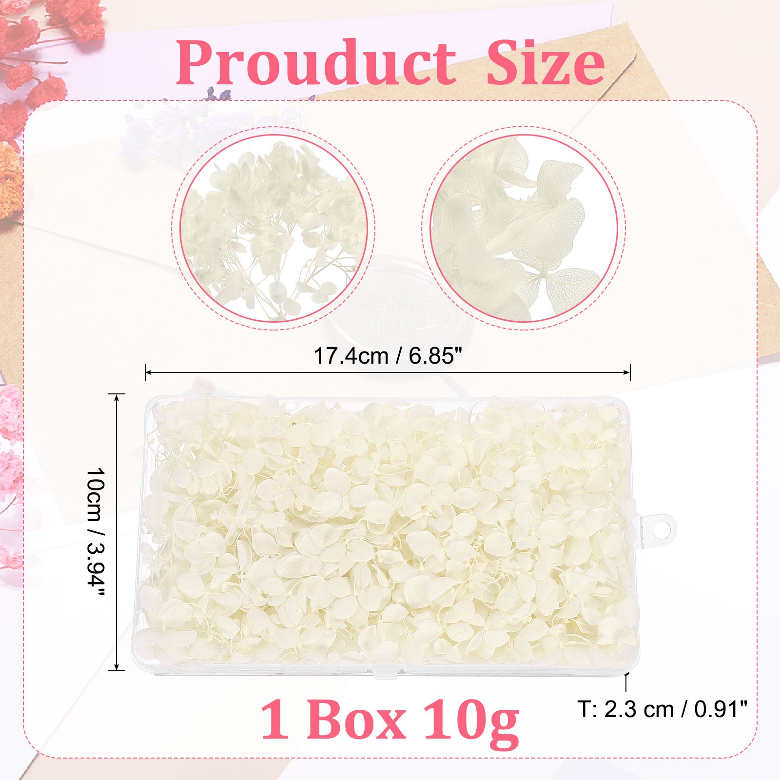 10g Dried Hydrangea Flower Natural Pressed Flower Real Hydrangeas White
