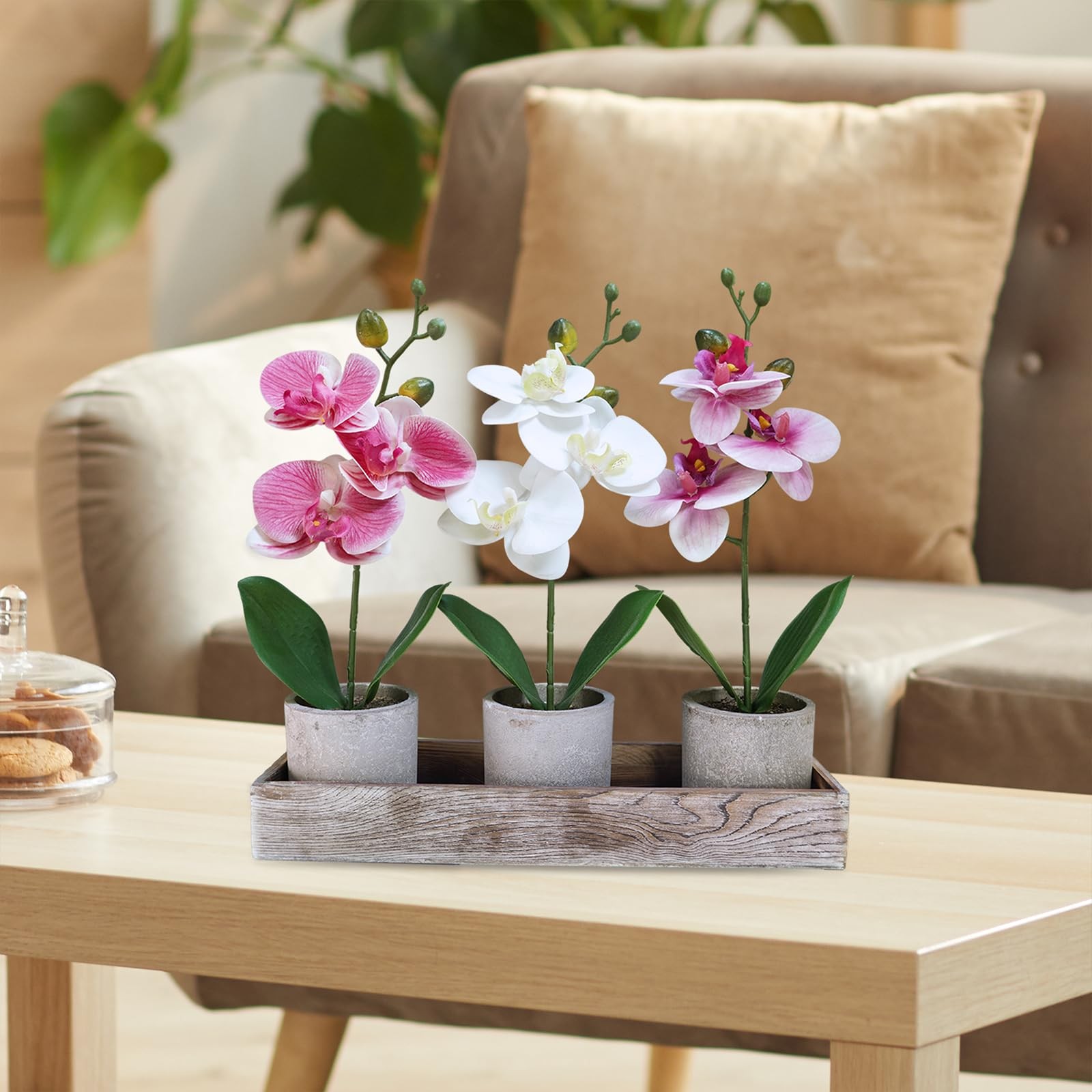Set of 3 Small Artificial Orchid Potted Plants Arrangement with Rustic Wood P…