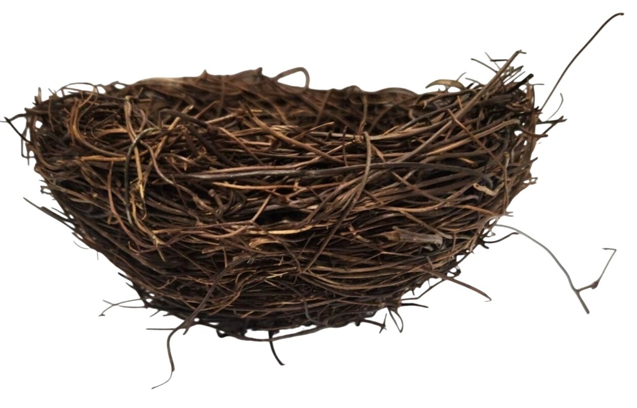 Rustic Twig Bird Nest 6 Inch Natural Handcrafted Nest Farmhouse Spring Decor