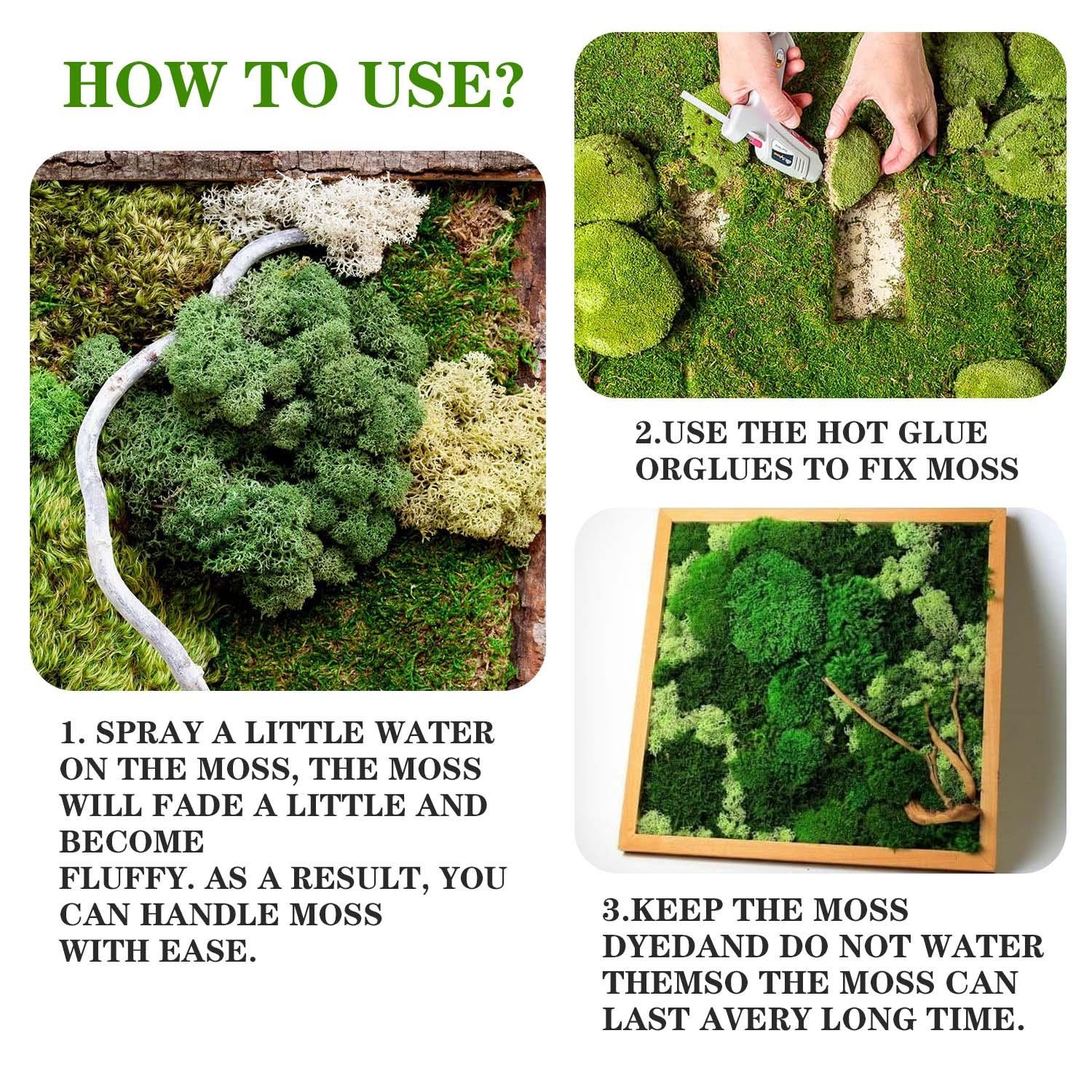 Artificial Green Moss, Eternal Life DIY Grass for Home, Garden & Mini Landscape