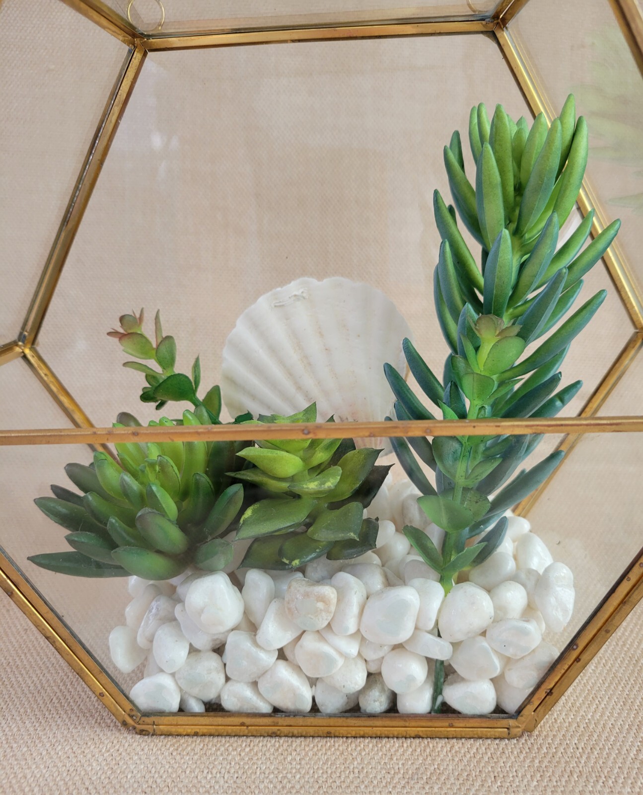 Plant Terrarium Geometric Gold Edge Planter Artificial Succulent Open Side Glass