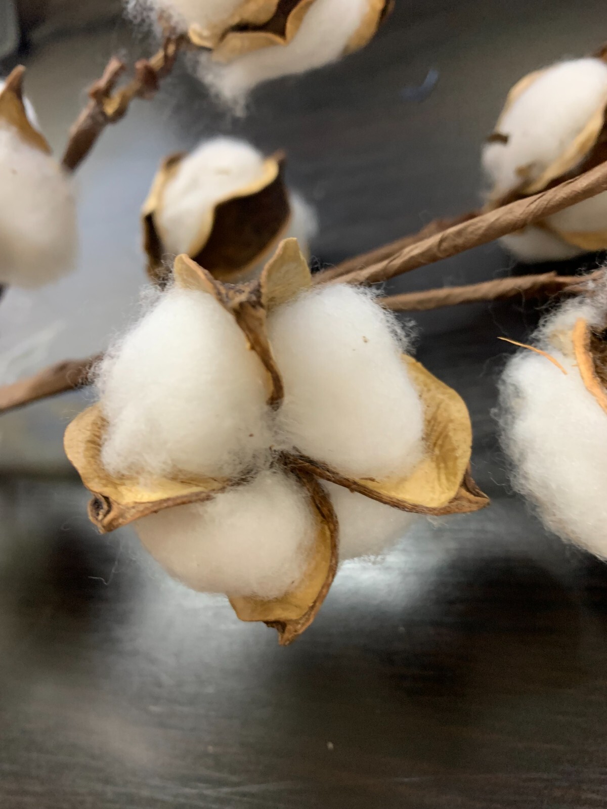 Cotton Stems Natural Dried Flower 60 Bolls in Total, 6 pack Cotton Sprigs White