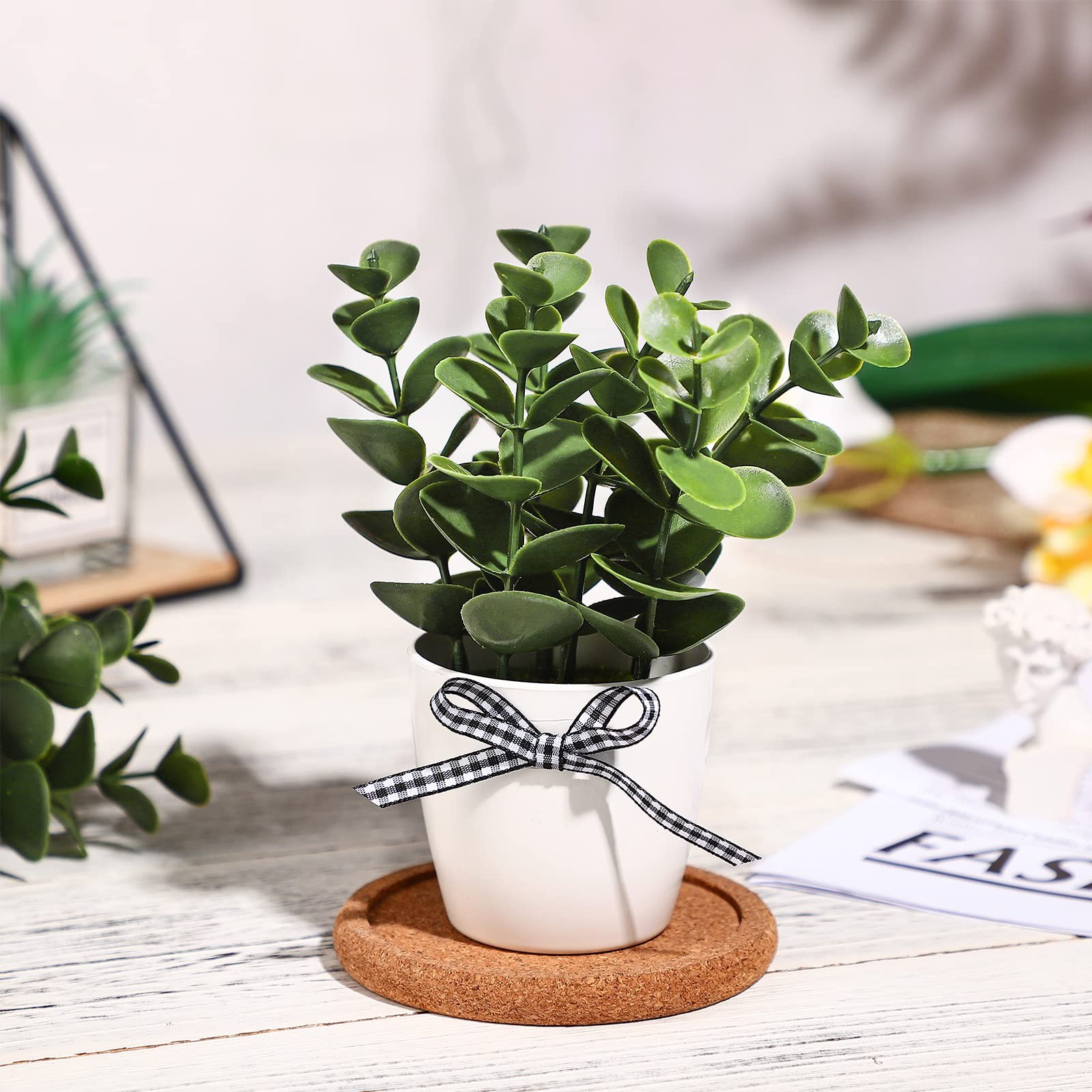 Farmhouse Tiered Tray Decor Mini Potted Eucalyptus Decor Plant Decor Items fo…