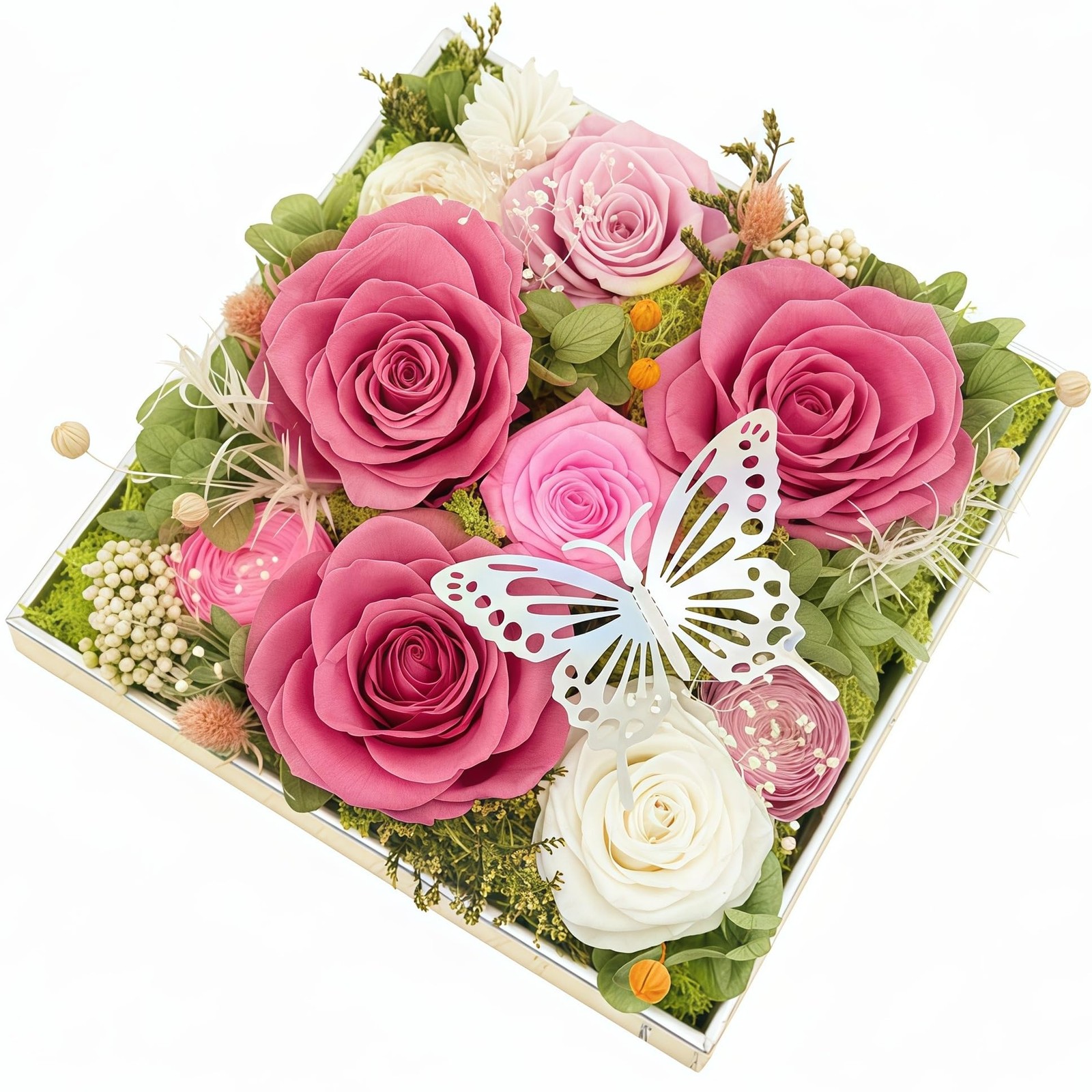 HipTree Preserved Pink & White Rose with Butterfly – Forever Eternal Real Austin