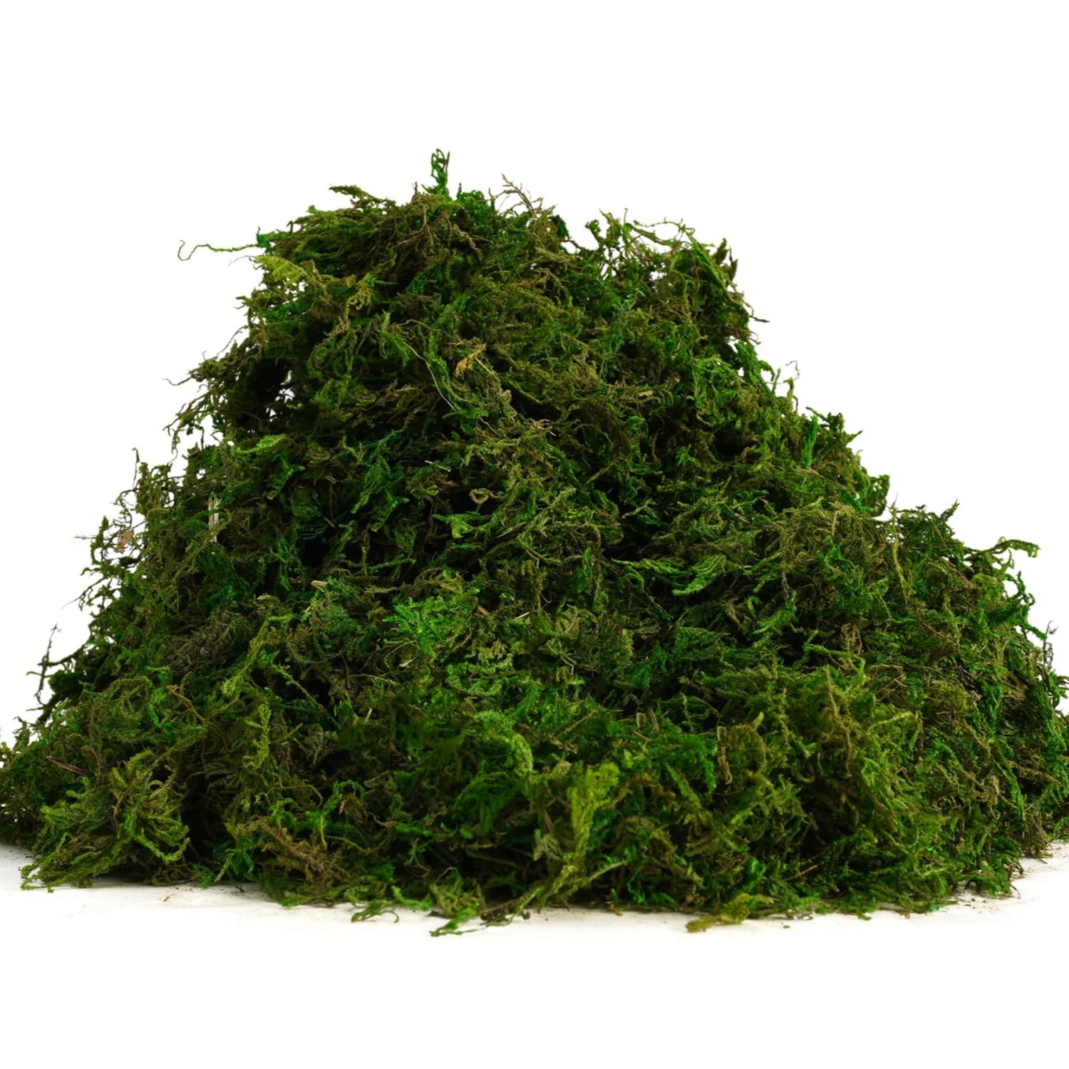 8OZ Fake Green Moss For Crafts Terrariums Fairy Gardens Plant Pot Filler