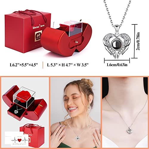 Preserved Real Rose with I love you Necklace 100 Languages, Gifts for red