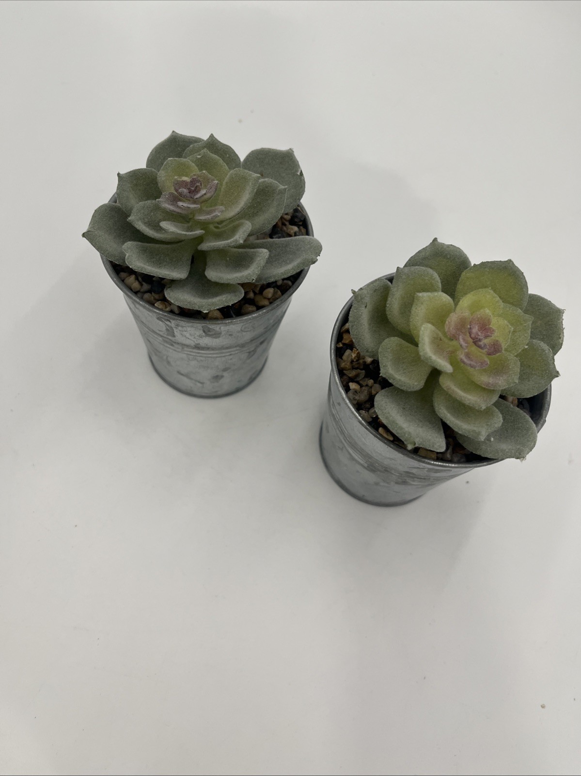 Fake Plants