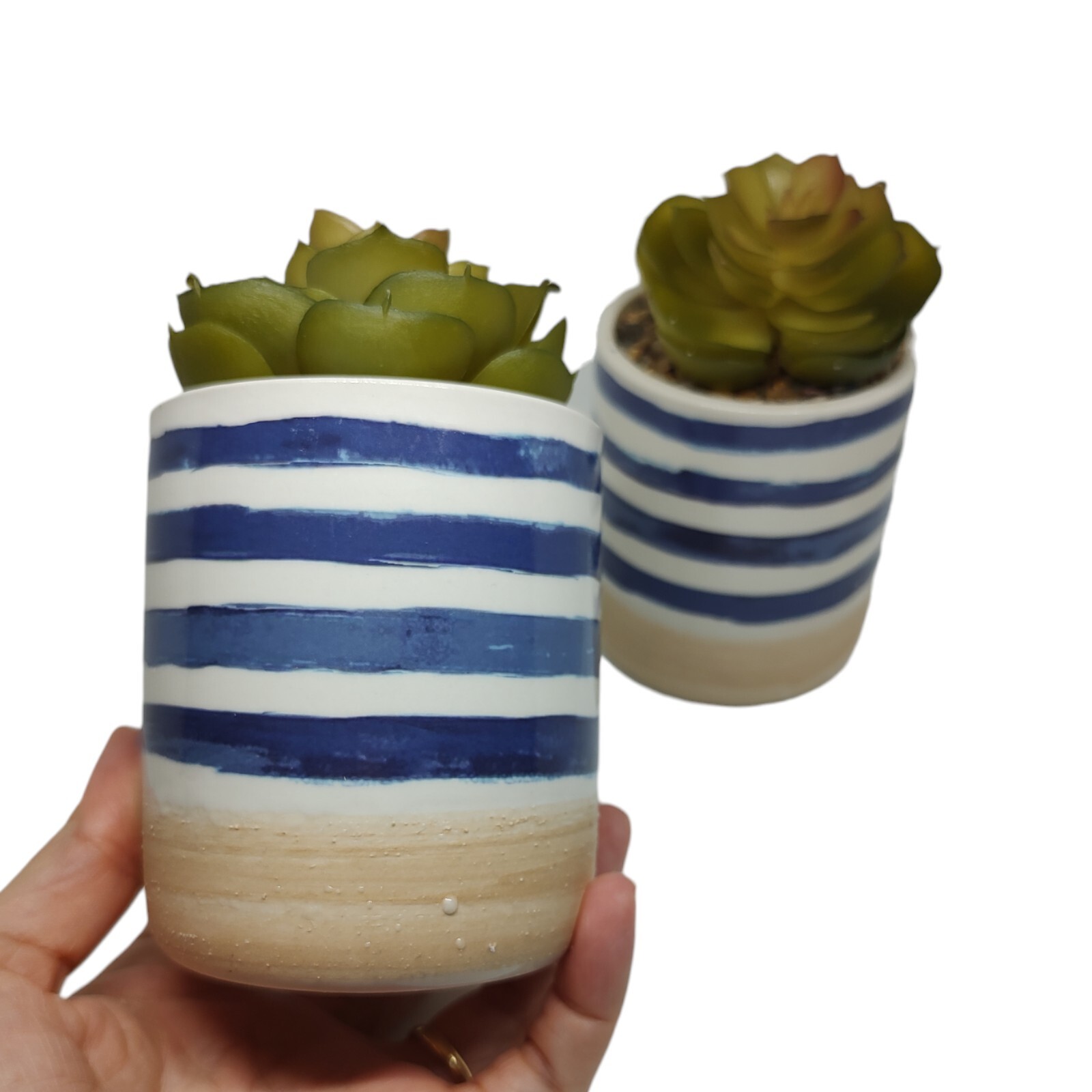 Set of 2 Faux Succulents In Ceramic Pots Rustic Coastal Small Artificial Plants